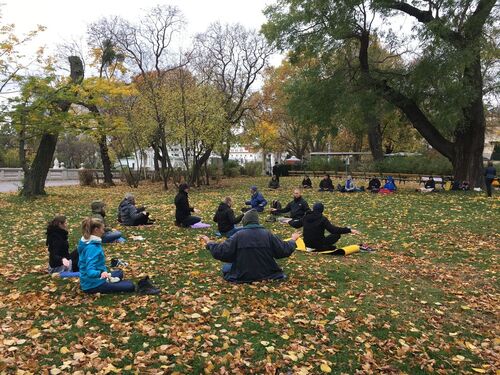 Studierende mit ihrem Professor am 12. November 2017 im Stadtpark 