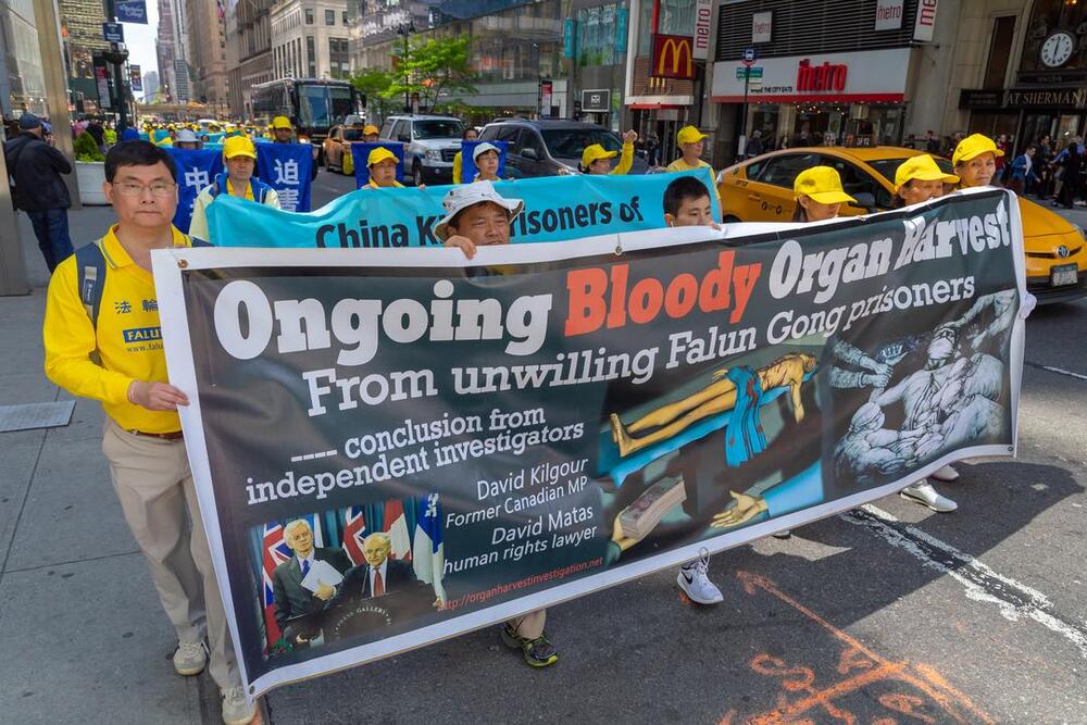 Transparente informieren über den Organraub durch die Kommunistische Partei.